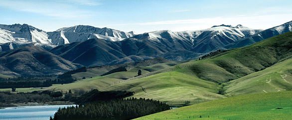 nzfarms landscape